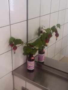 駅のトイレの花