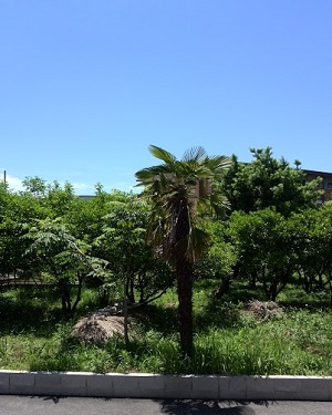 窓からの景色
